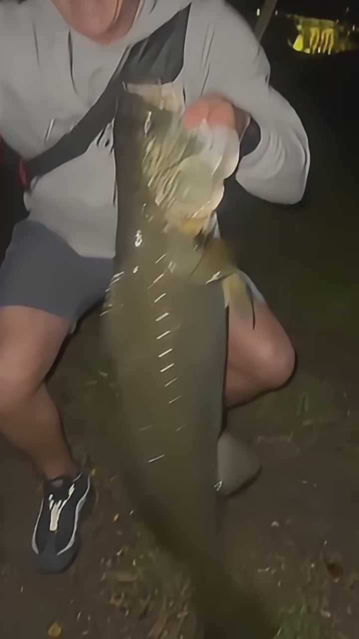 Customer video — The Noodle Rod in action