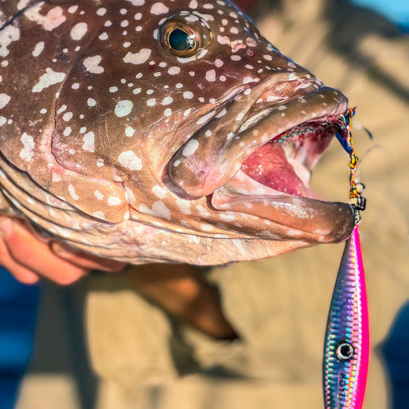 Light FDYS Jigs Bundle